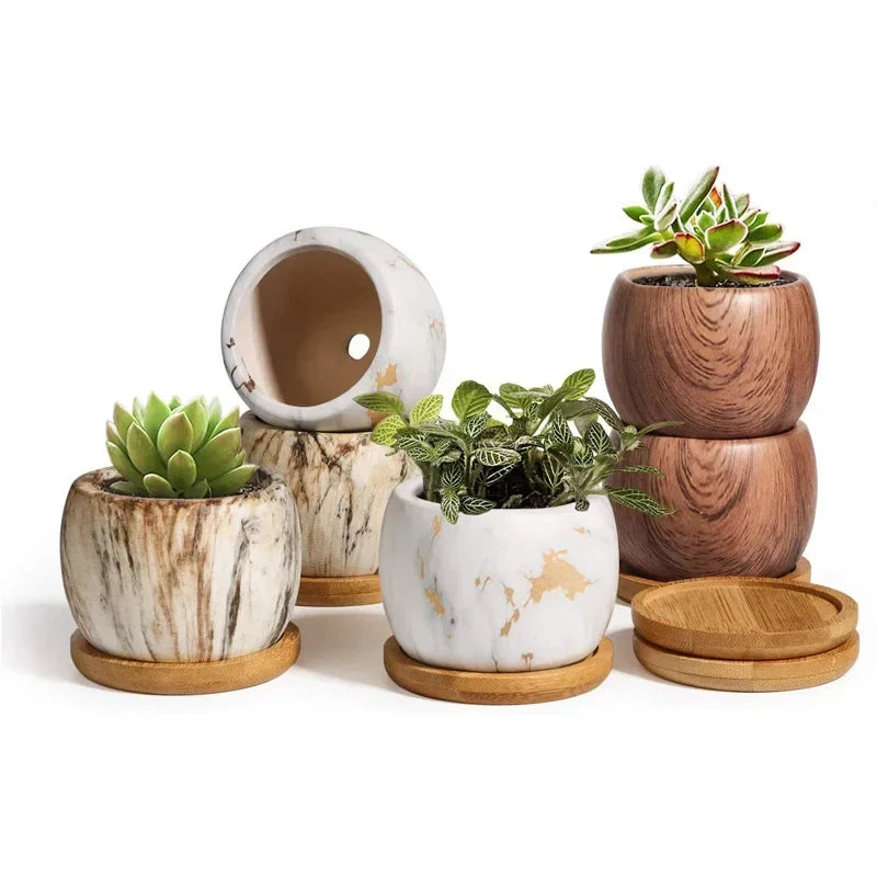 Ceramic Water Transfer Succulent Flower Pots for Home Office Decor