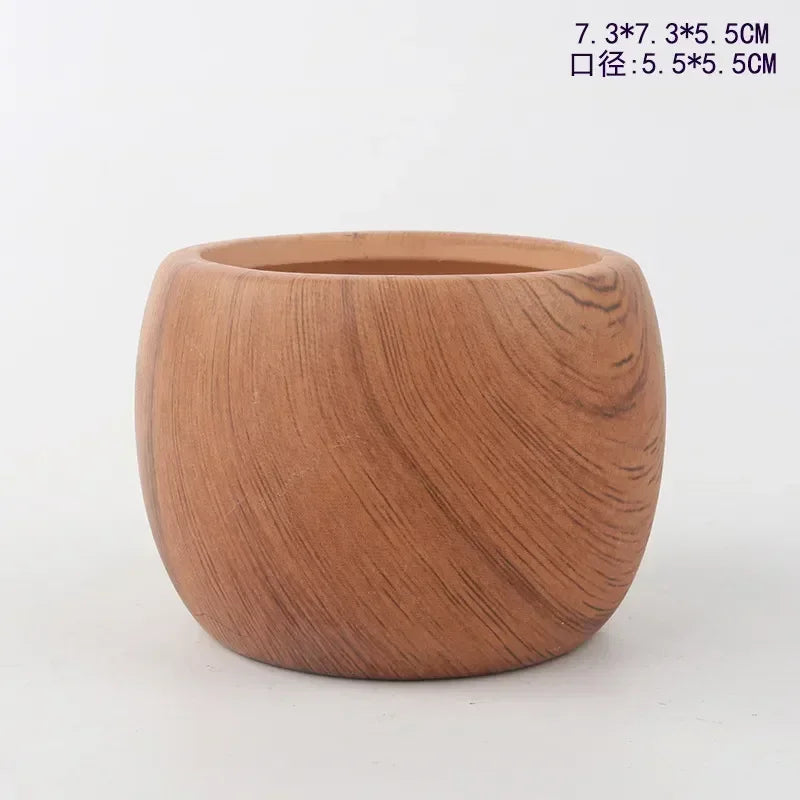 Ceramic Water Transfer Succulent Flower Pots for Home Office Decor